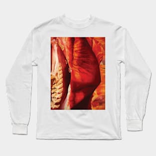 Red Hills and Bones by georgia okeeffe Long Sleeve T-Shirt